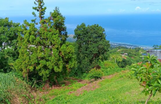 OFIM-Réunion-à-vendre-un-terrain-de-420m2-avec-vue-mer-centre-ville-La-Chaloupe