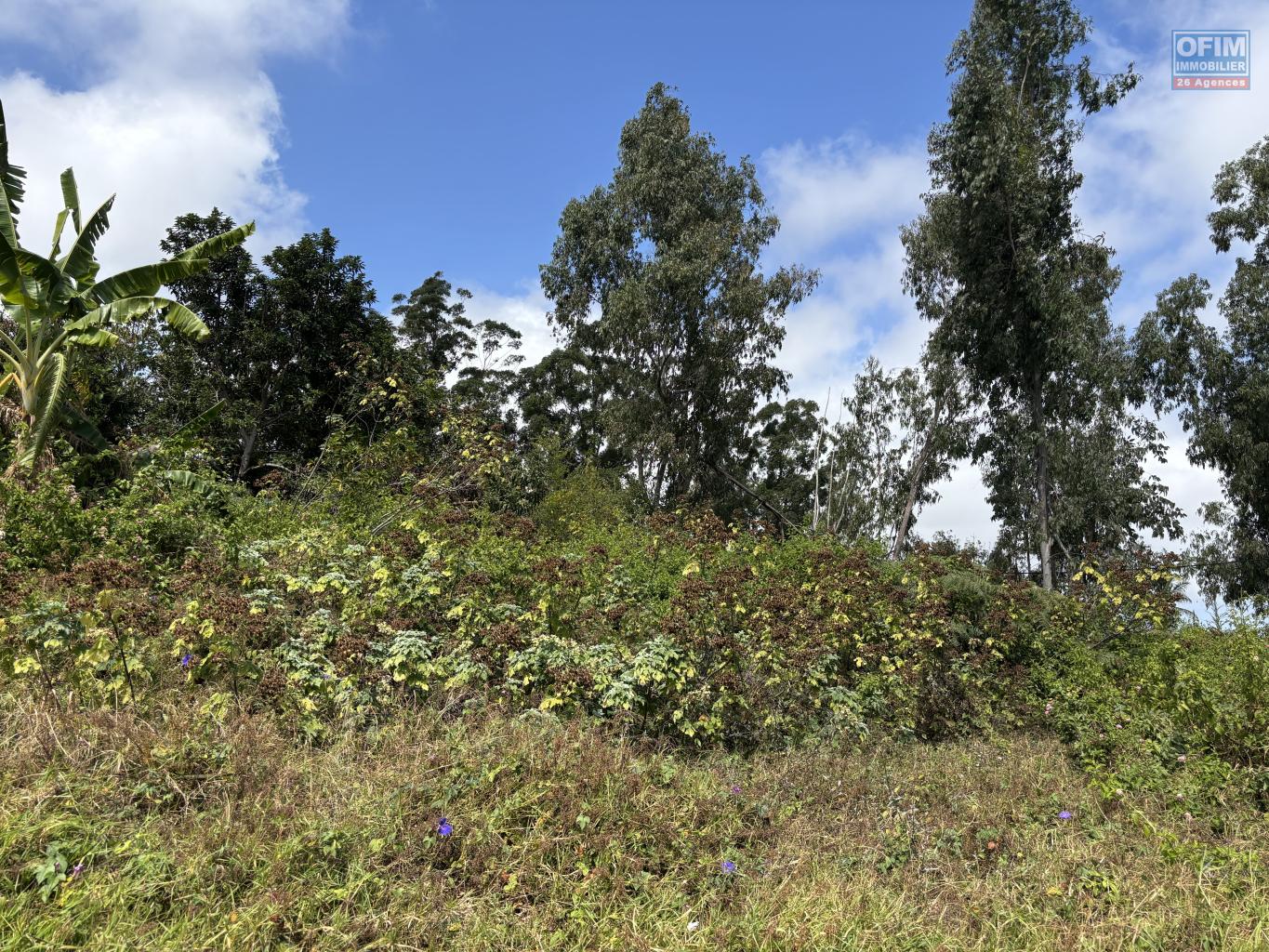 OFIM-immobilier-à-vendre-terrain-de-1431m2-à-Trois-Bassins